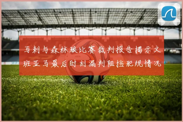 马刺与森林狼比赛裁判报告揭示文班亚马最后时刻漏判阻挡犯规情况