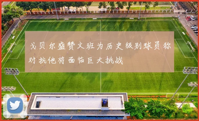 戈贝尔盛赞文班为历史级别球员称对抗他将面临巨大挑战