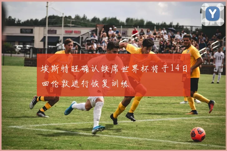 埃斯特旺确认缺席世界杯将于14日回伦敦进行恢复训练